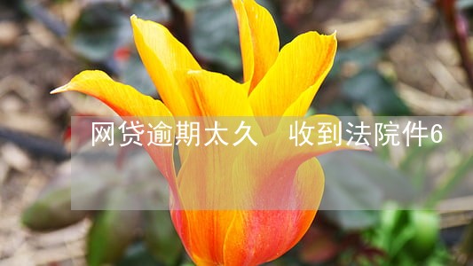 网贷逾期太久 收到法院件6 网贷逾期太久 收到法院件6